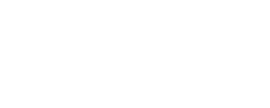 VIGI logo